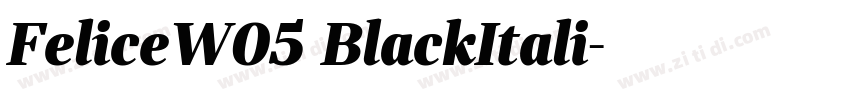 FeliceW05 BlackItali字体转换